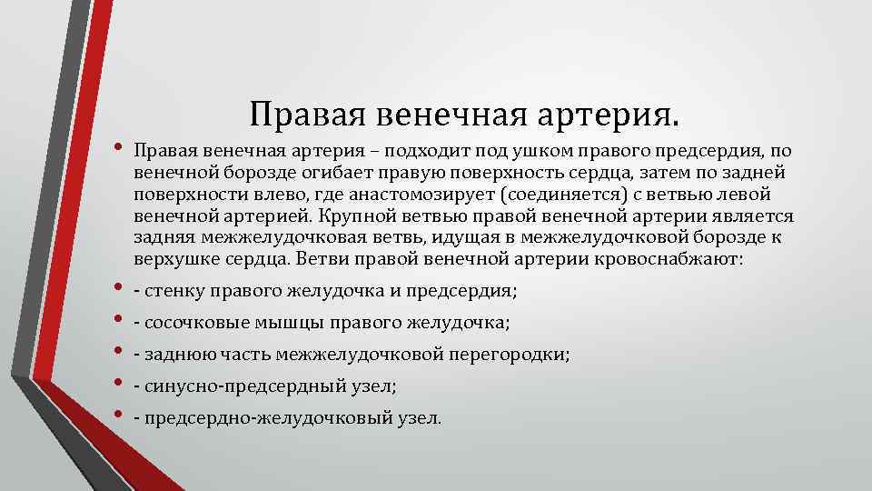 Правая венечная артерия. • Правая венечная артерия – подходит под ушком правого предсердия, по