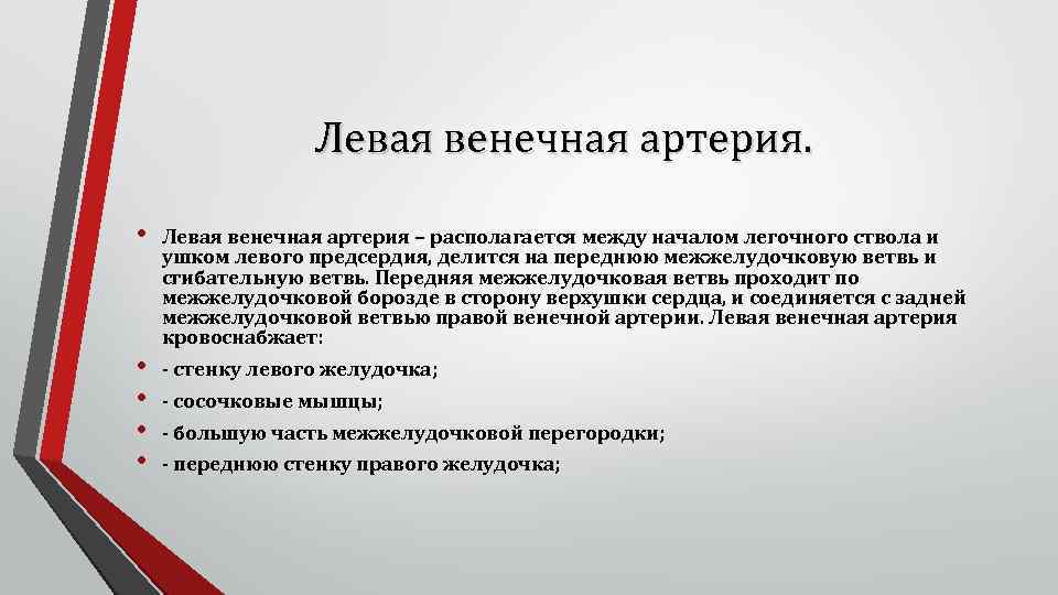 Левая венечная артерия. • • • Левая венечная артерия – располагается между началом легочного