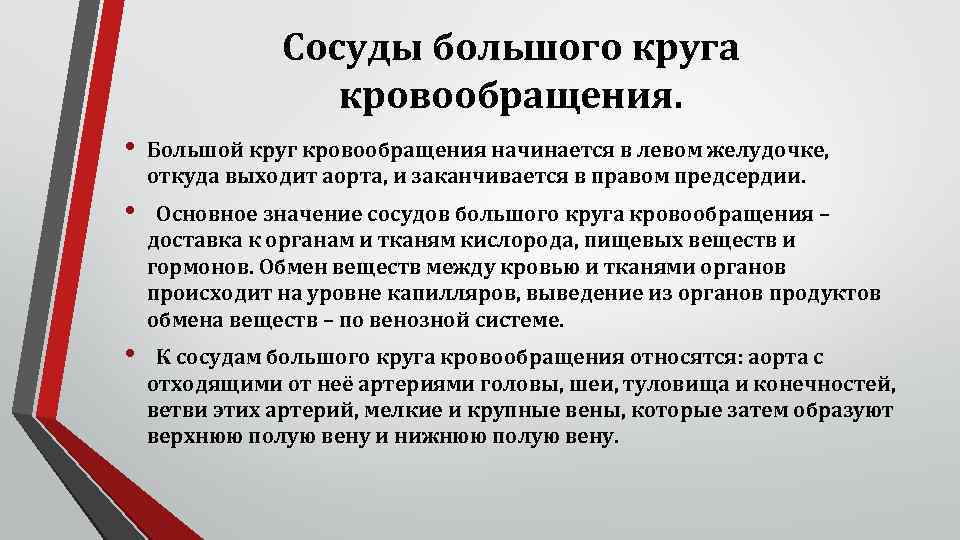 Сосуды большого круга кровообращения. • Большой круг кровообращения начинается в левом желудочке, откуда выходит