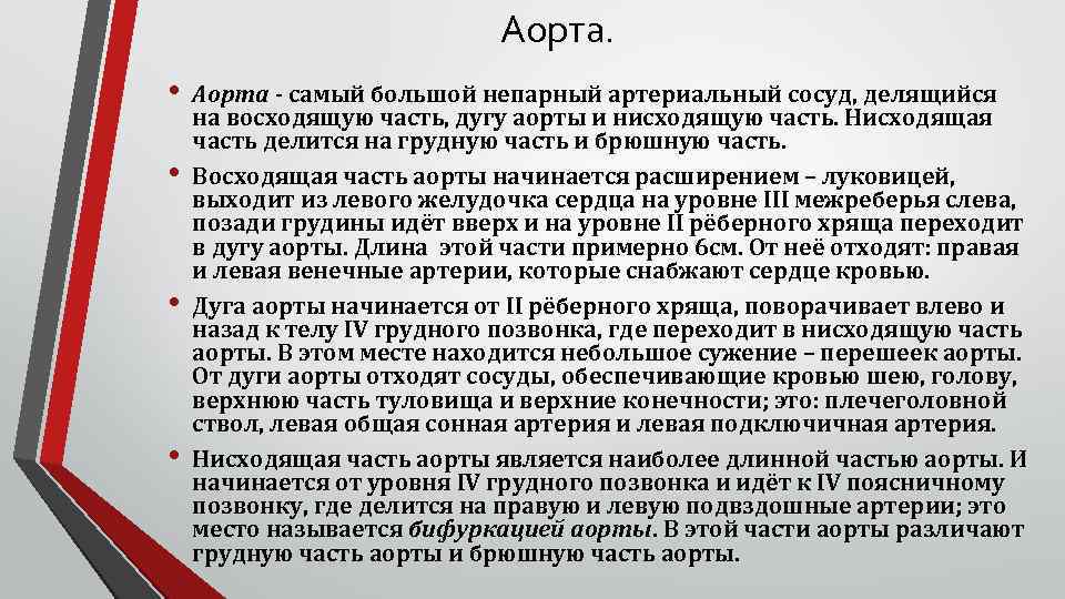 Аорта. • • Аорта - самый большой непарный артериальный сосуд, делящийся на восходящую часть,