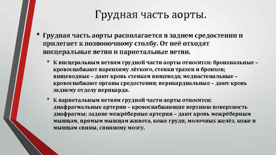 Грудная часть аорты. • Грудная часть аорты располагается в заднем средостении и прилегает к