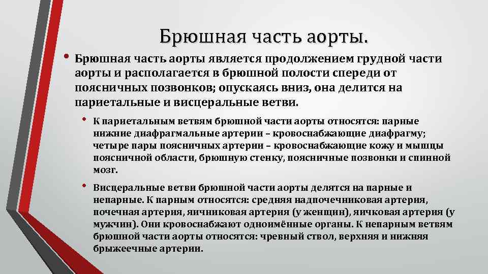 Брюшная часть аорты. • Брюшная часть аорты является продолжением грудной части аорты и располагается