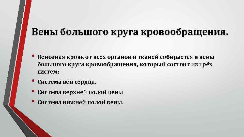 Вены большого круга кровообращения. • Венозная кровь от всех органов и тканей собирается в