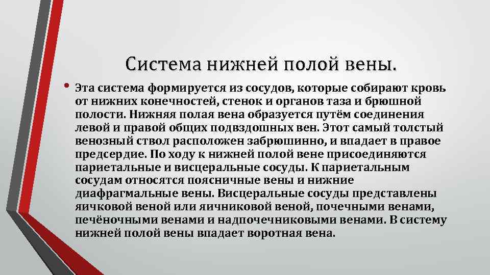 Система нижней полой вены. • Эта система формируется из сосудов, которые собирают кровь от