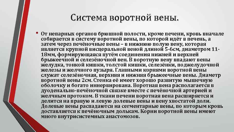 Система воротной вены. • От непарных органов брюшной полости, кроме печени, кровь вначале собирается