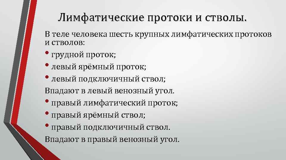 Лимфатические протоки и стволы. В теле человека шесть крупных лимфатических протоков и стволов: •