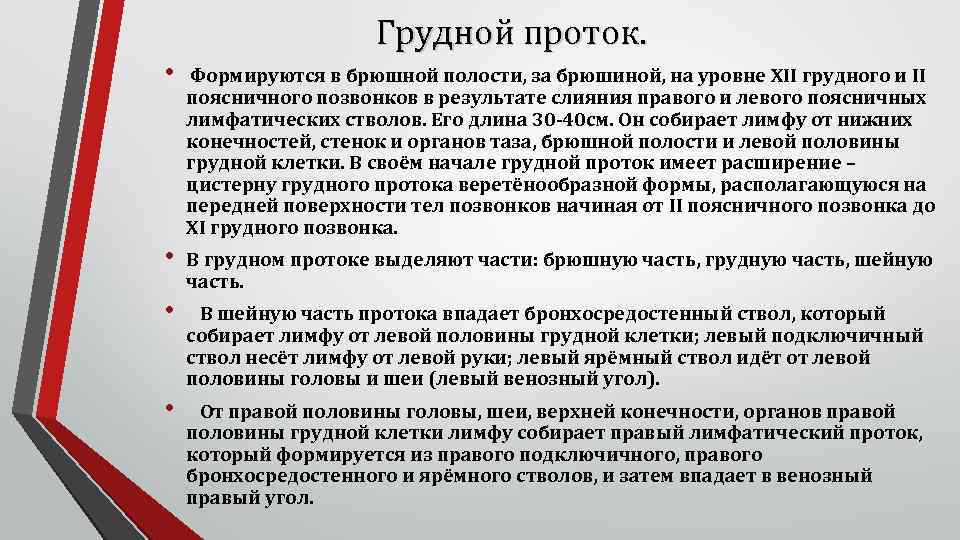 Грудной проток. • Формируются в брюшной полости, за брюшиной, на уровне XII грудного и