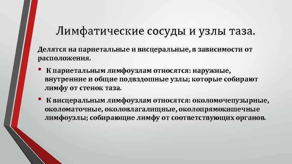 Лимфатические сосуды и узлы таза. Делятся на париетальные и висцеральные, в зависимости от расположения.