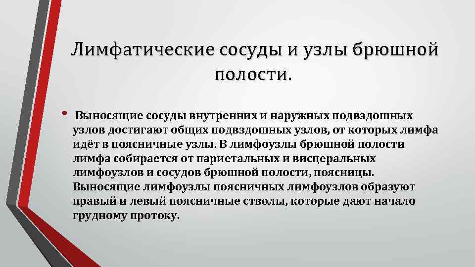 Лимфатические сосуды и узлы брюшной полости. • Выносящие сосуды внутренних и наружных подвздошных узлов