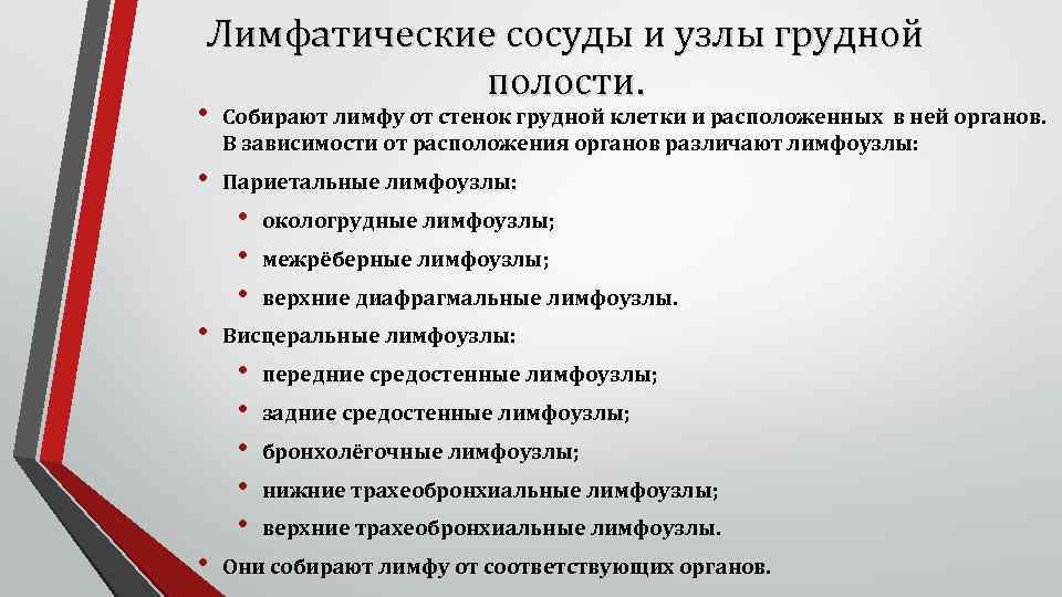 Лимфатические сосуды и узлы грудной полости. • Собирают лимфу от стенок грудной клетки и