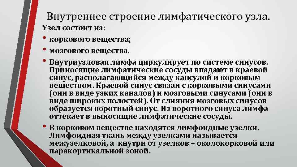 Внутреннее строение лимфатического узла. Узел состоит из: • коркового вещества; • мозгового вещества. •