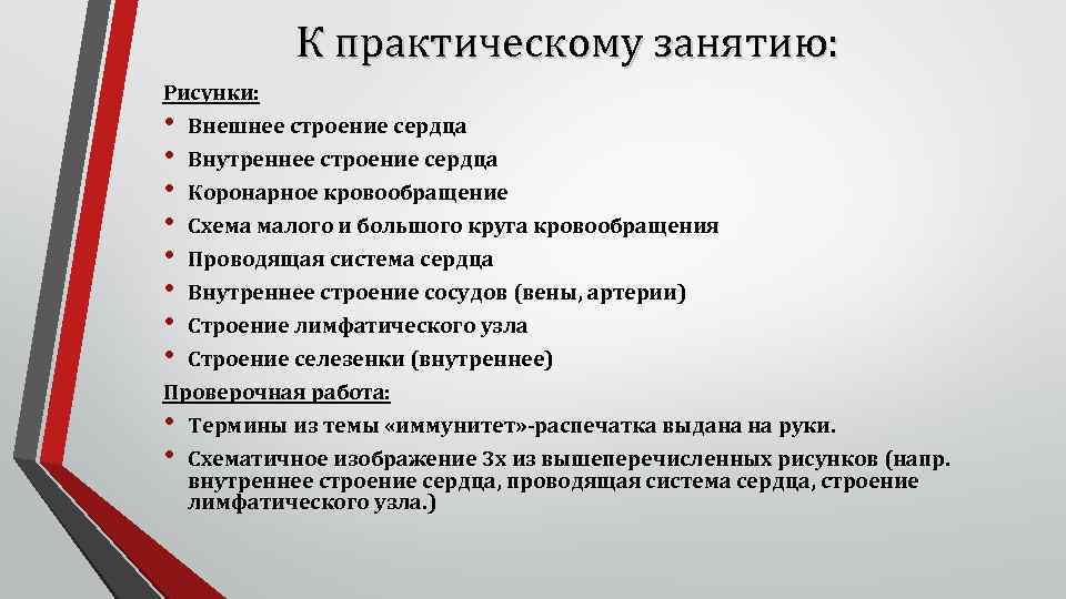 К практическому занятию: Рисунки: • Внешнее строение сердца • • Внутреннее строение сердца Коронарное