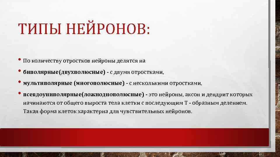 ТИПЫ НЕЙРОНОВ: • По количеству отростков нейроны делятся на • биполярные(двухполюсные) с двумя отростками,