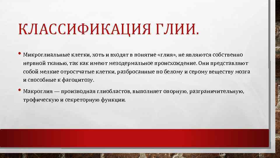 КЛАССИФИКАЦИЯ ГЛИИ. • Микроглиальные клетки, хоть и входят в понятие «глия» , не являются