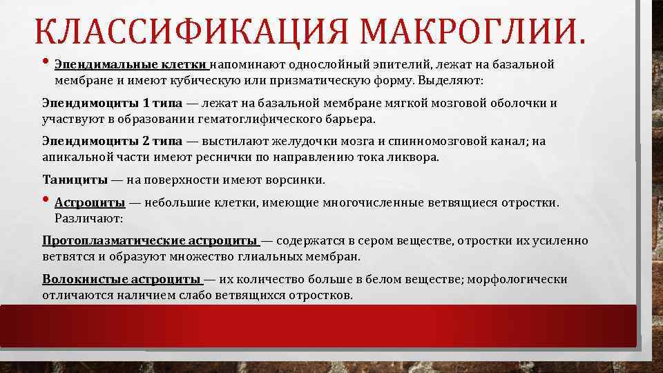 КЛАССИФИКАЦИЯ МАКРОГЛИИ. • Эпендимальные клетки напоминают однослойный эпителий, лежат на базальной мембране и имеют