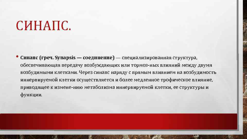 СИНАПС. • Синапс (греч. Synapsis — соединение) — специализированная структура, обеспечивающая передачу возбуждающих или