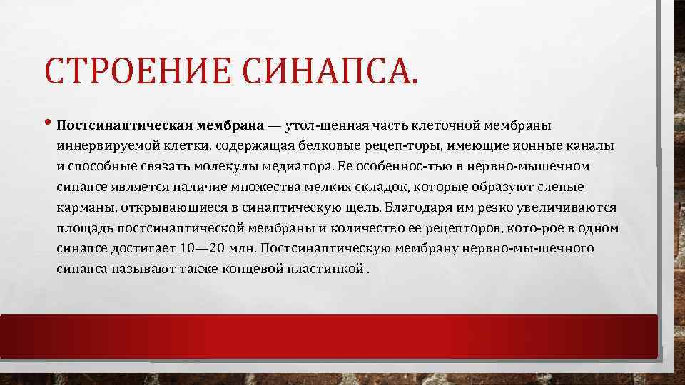 СТРОЕНИЕ СИНАПСА. • Постсинаптическая мембрана — утол щенная часть клеточной мембраны иннервируемой клетки, содержащая