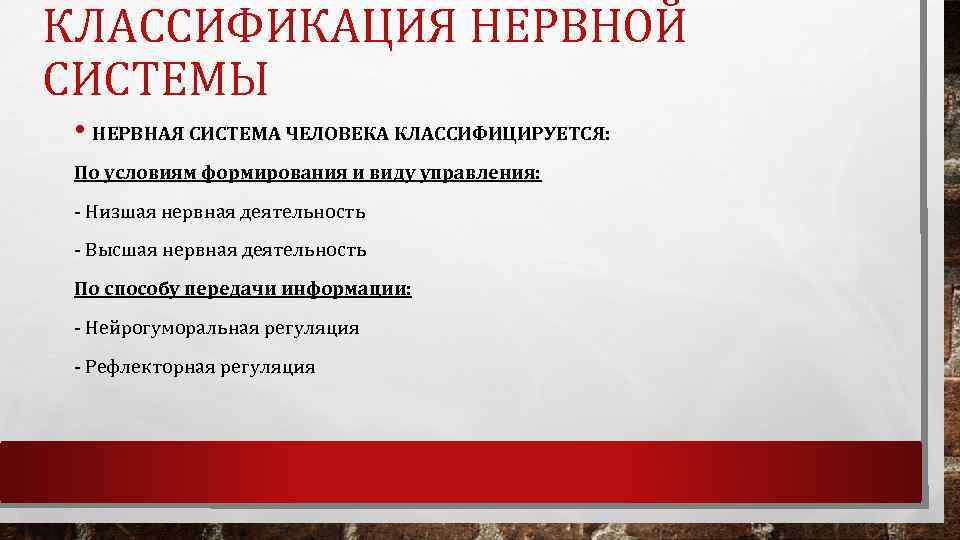 КЛАССИФИКАЦИЯ НЕРВНОЙ СИСТЕМЫ • НЕРВНАЯ СИСТЕМА ЧЕЛОВЕКА КЛАССИФИЦИРУЕТСЯ: По условиям формирования и виду управления:
