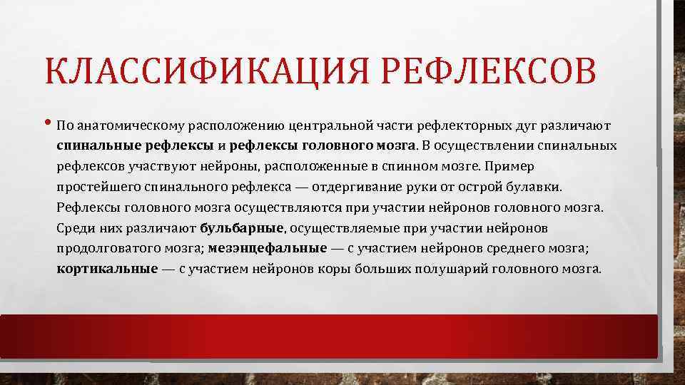 КЛАССИФИКАЦИЯ РЕФЛЕКСОВ • По анатомическому расположению центральной части рефлекторных дуг различают спинальные рефлексы и