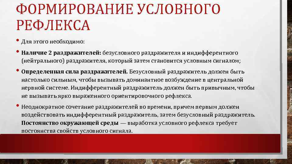 ФОРМИРОВАНИЕ УСЛОВНОГО РЕФЛЕКСА • Для этого необходимо: • Наличие 2 раздражителей: безусловного раздражителя и