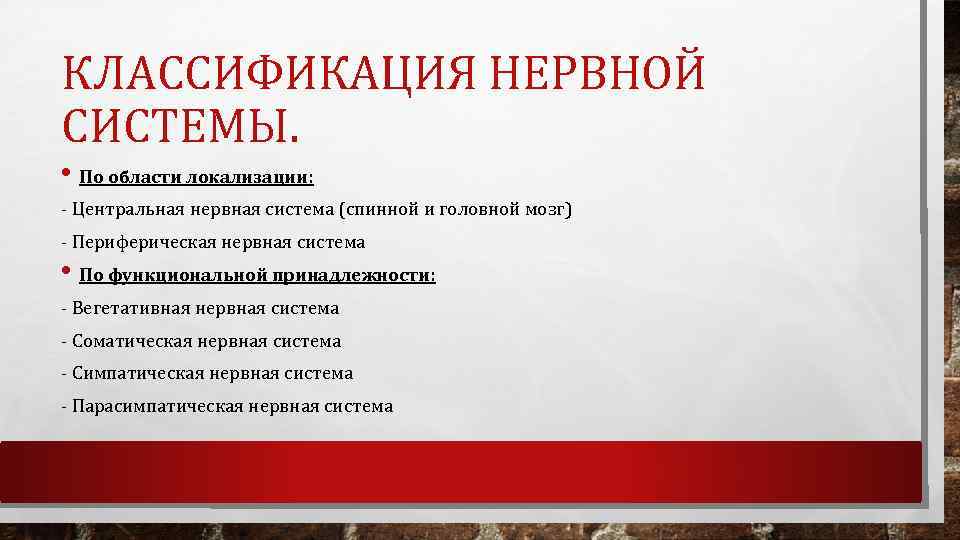 КЛАССИФИКАЦИЯ НЕРВНОЙ СИСТЕМЫ. • По области локализации: Центральная нервная система (спинной и головной мозг)