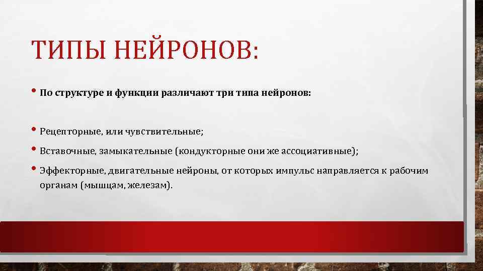 ТИПЫ НЕЙРОНОВ: • По структуре и функции различают три типа нейронов: • Рецепторные, или