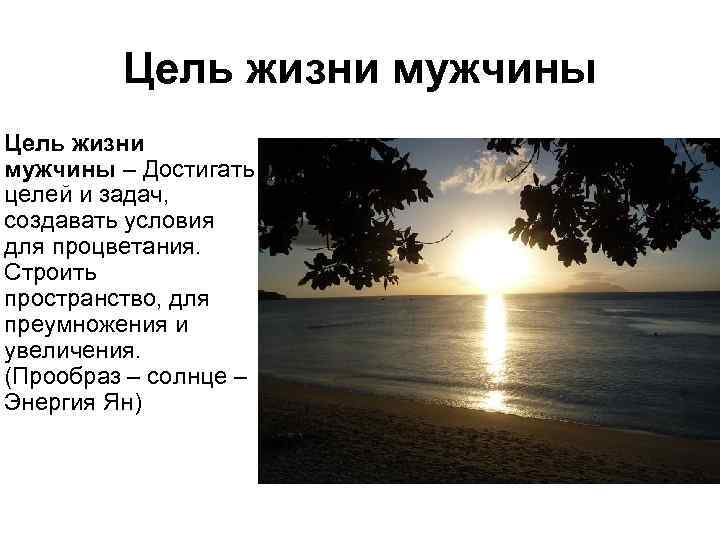 Цель в жизни