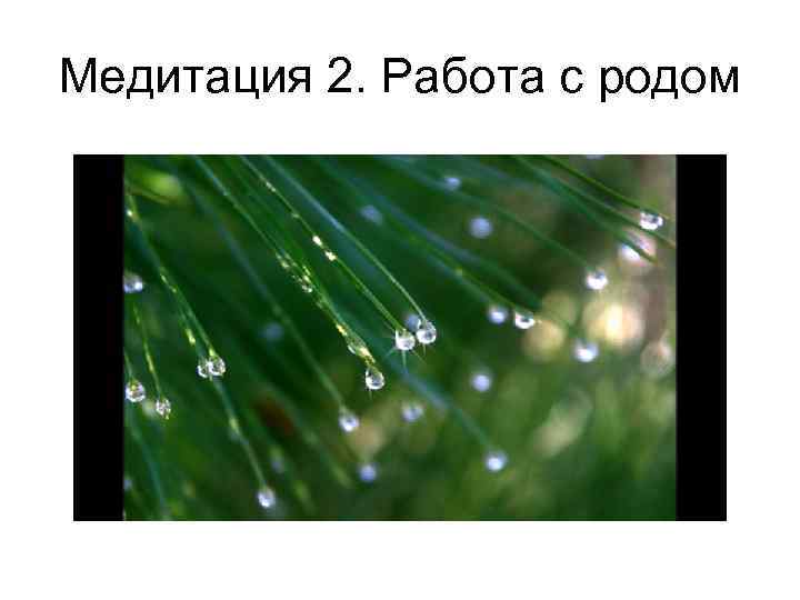 Медитация 2. Работа с родом 