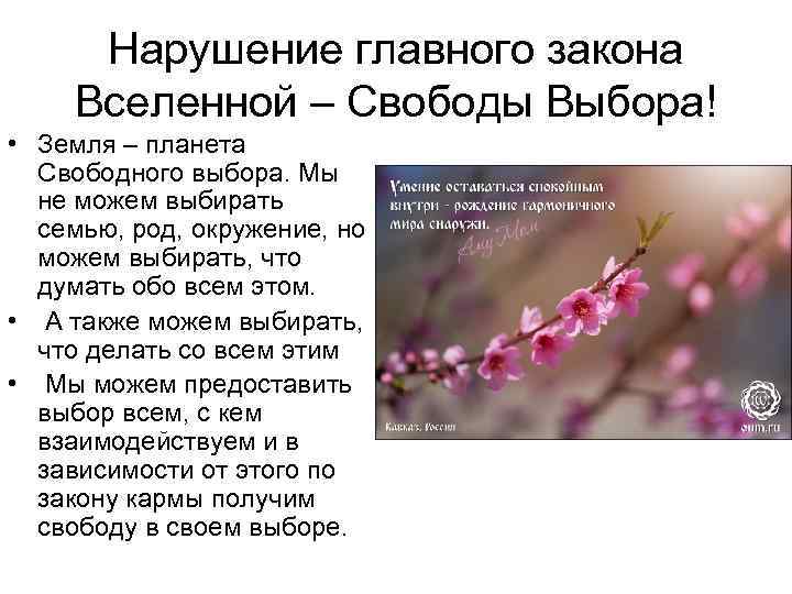 Нарушение главного закона Вселенной – Свободы Выбора! • Земля – планета Свободного выбора. Мы