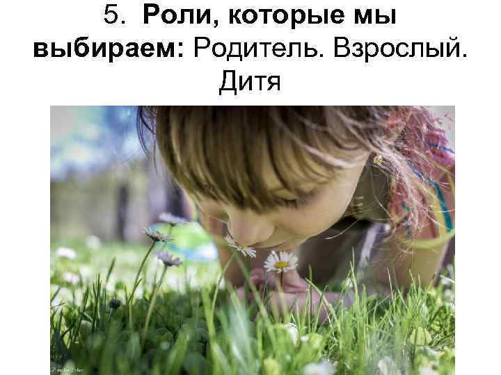 5. Роли, которые мы выбираем: Родитель. Взрослый. Дитя 