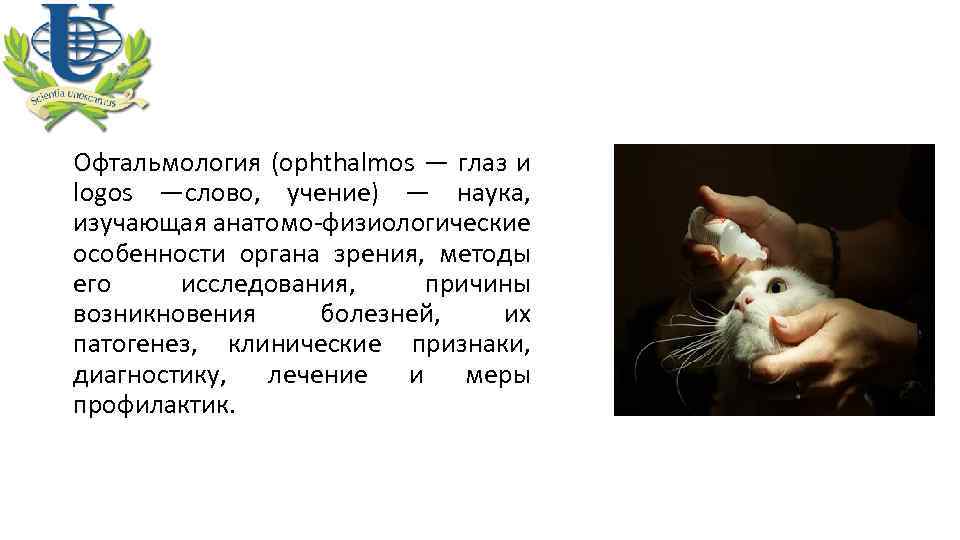 Офтальмология (ophthalmos — глаз и logos —слово, учение) — наука, изучающая анатомо-физиологические особенности органа