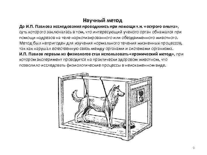 Рассмотрите рисунок на котором изображен эксперимент с мышами