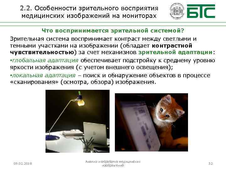 2. 2. Особенности зрительного восприятия медицинских изображений на мониторах Что воспринимается зрительной системой? Зрительная