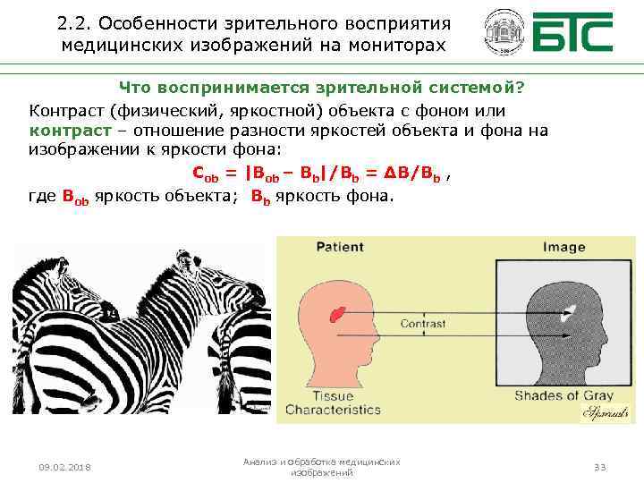 2. 2. Особенности зрительного восприятия медицинских изображений на мониторах Что воспринимается зрительной системой? Контраст