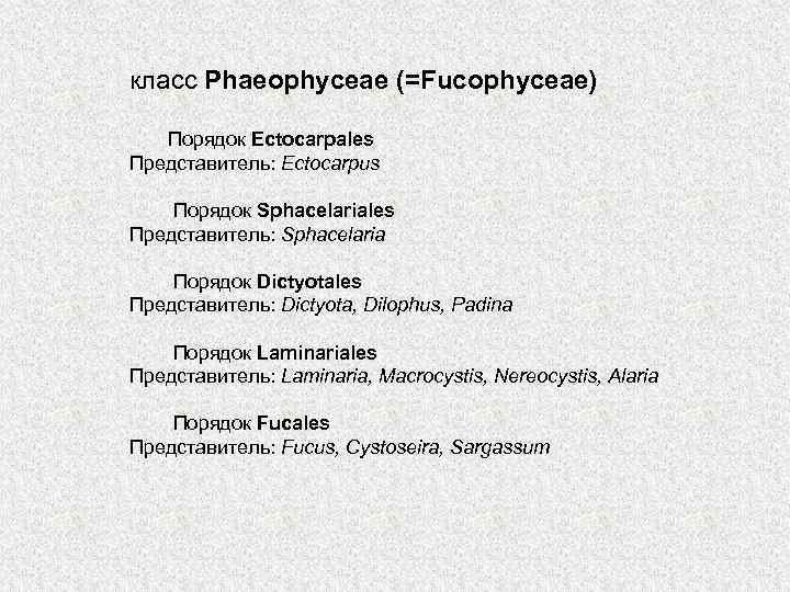 класс Phaeophyceae (=Fucophyceae) Порядок Ectocarpales Представитель: Ectocarpus Порядок Sphacelariales Представитель: Sphacelaria Порядок Dictyotales Представитель: