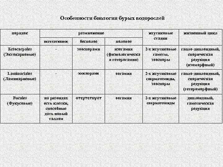 Особенности биологии бурых водорослей порядок размножение жгутиковые стадии жизненный цикл вегетативное бесполое половое Ectocarpales