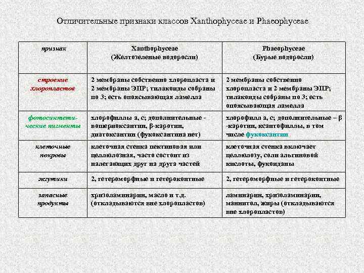 Отличительные признаки классов Xanthophyceae и Phaeophyceae признак Xanthophyceae (Желтозеленые водоросли) строение хлоропластов 2 мембраны