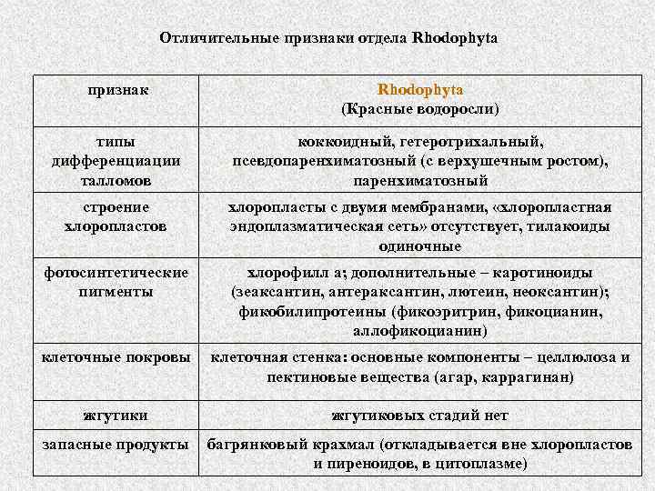 Отличительные признаки отдела Rhodophyta признак Rhodophyta (Красные водоросли) типы дифференциации талломов коккоидный, гетеротрихальный, псевдопаренхиматозный