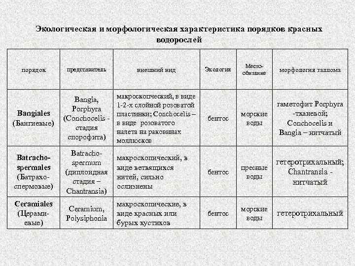 Экологическая и морфологическая характеристика порядков красных водорослей Местообитание морфология таллома бентос морские воды гаметофит