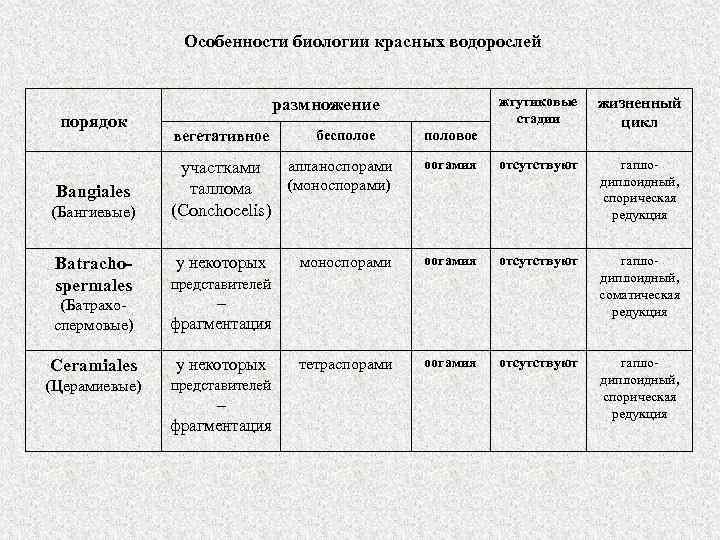 Особенности биологии красных водорослей порядок Bangiales (Бангиевые) Batrachospermales жгутиковые стадии размножение вегетативное бесполое жизненный