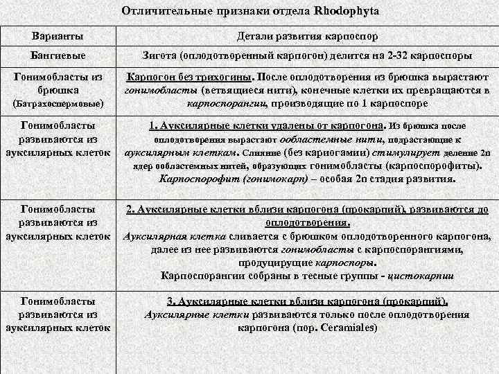 Отличительные признаки отдела Rhodophyta Варианты Детали развития карпоспор Бангиевые Зигота (оплодотворенный карпогон) делится на