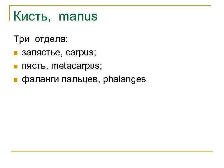 Кисть, manus Три отдела: n запястье, carpus; n пясть, metacarpus; n фаланги пальцев, phalanges