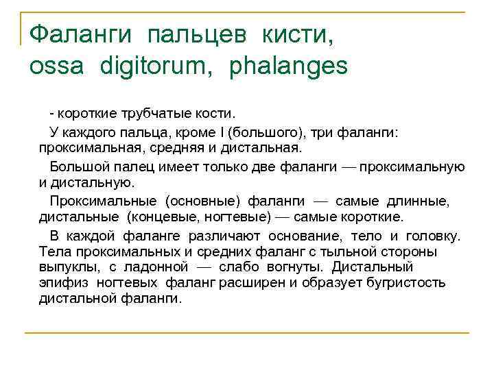 Фаланги пальцев кисти, ossa digitorum, phalanges - короткие трубчатые кости. У каждого пальца, кроме