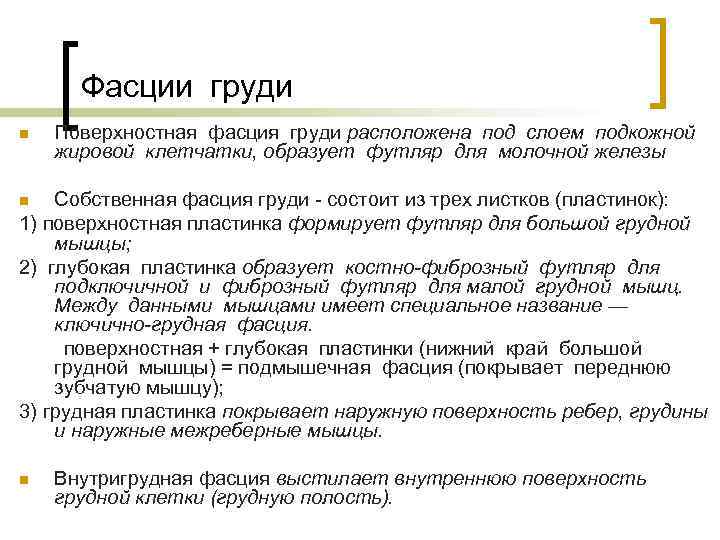 Фасции груди n Поверхностная фасция груди расположена под слоем подкожной жировой клетчатки, образует футляр