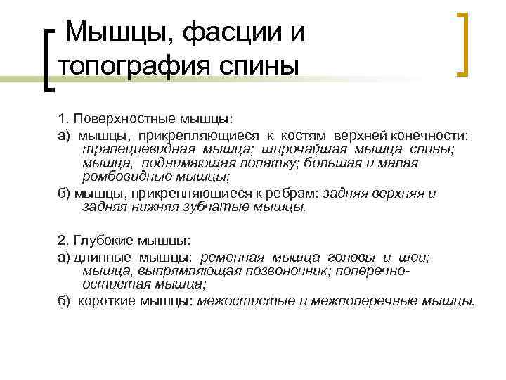 Мышцы, фасции и топография спины 1. Поверхностные мышцы: а) мышцы, прикрепляющиеся к костям верхней