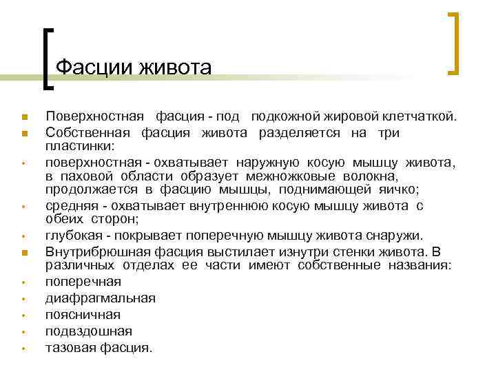 Фасции живота n n • • • Поверхностная фасция - подкожной жировой клетчаткой. Собственная