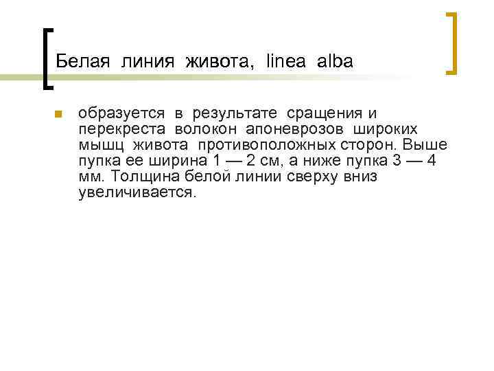 Белая линия живота, linea alba n образуется в результате сращения и перекреста волокон апоневрозов