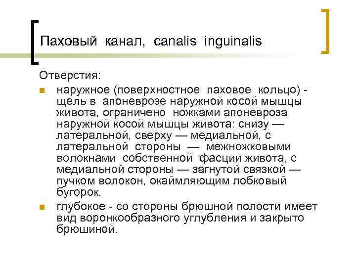 Паховый канал, canalis inguinalis Отверстия: n наружное (поверхностное паховое кольцо) щель в апоневрозе наружной