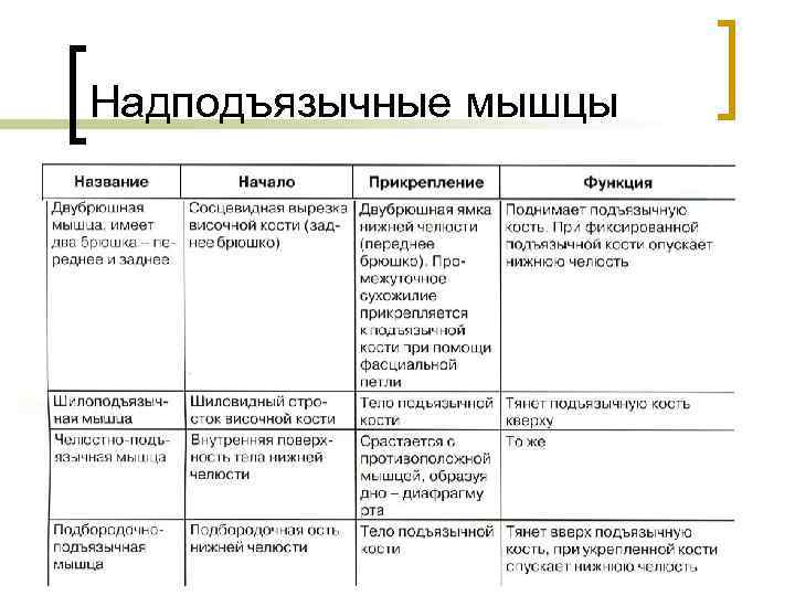 Мышцы начало прикрепление функция. Функции поверхностных мышц шеи таблица. Мышцы шеи функции таблица. Глубокие мышцы шеи таблица функции. Мышцы шеи прикрепление таблица.