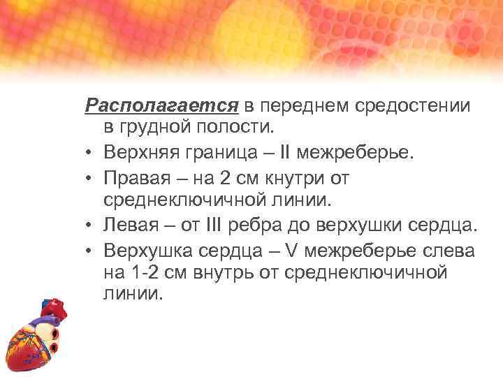 Располагается в переднем средостении в грудной полости. • Верхняя граница – II межреберье. •